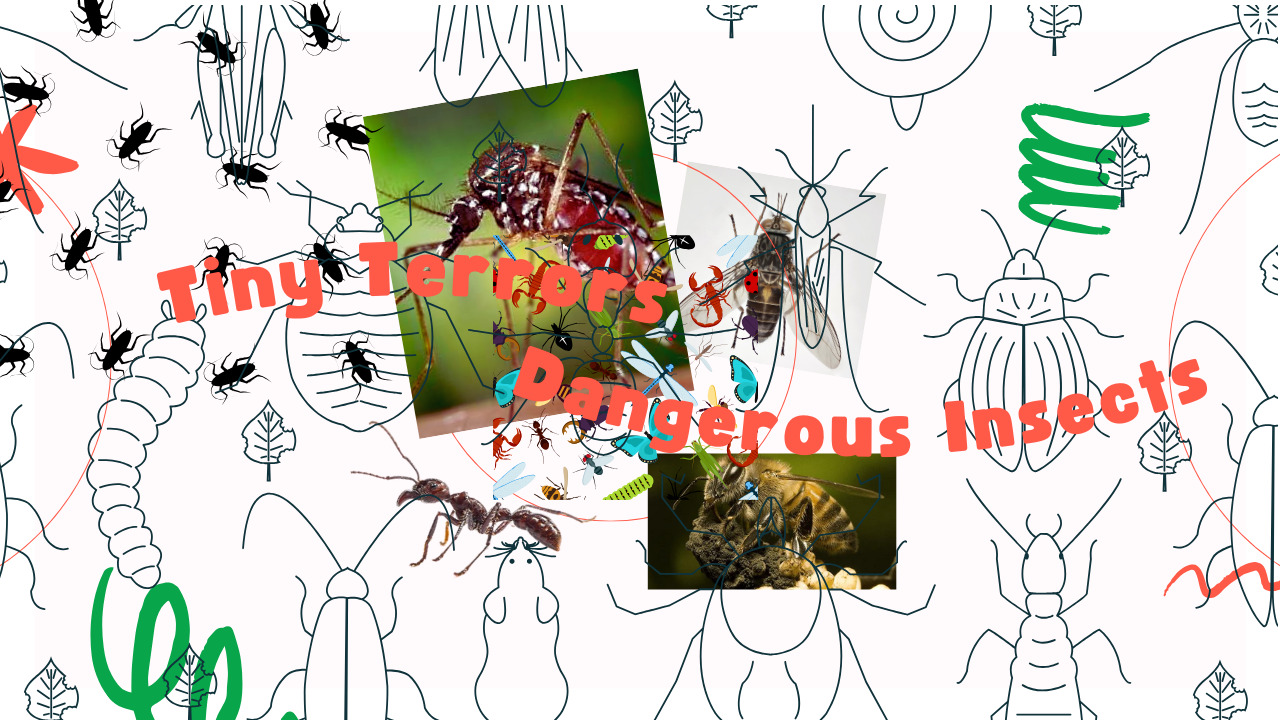 Dangerous Insects