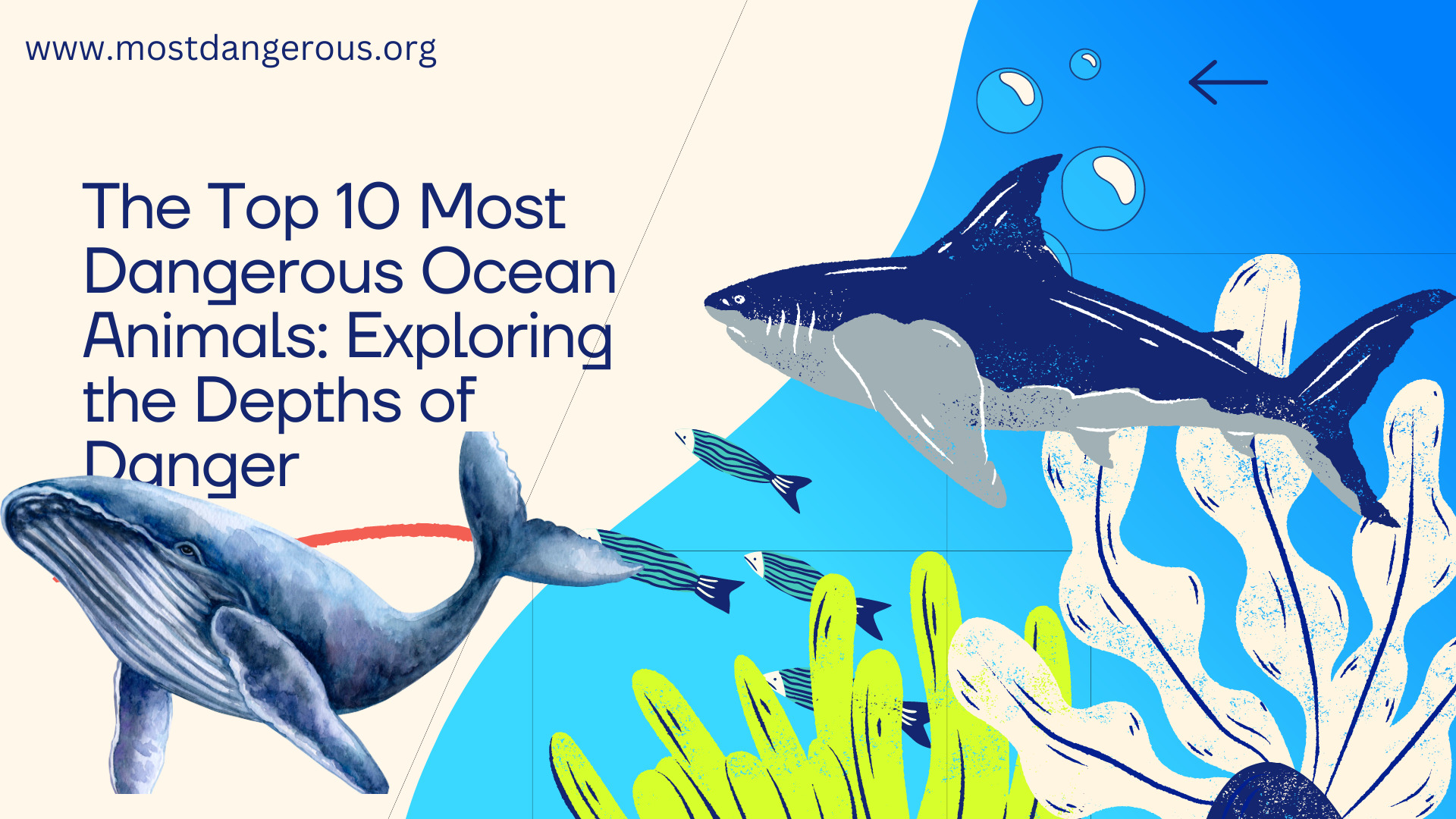 dangerous ocean animals
