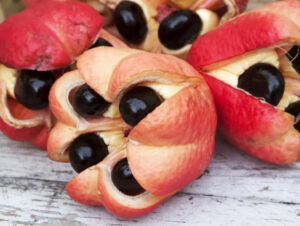 A picture of an Ackee fruit