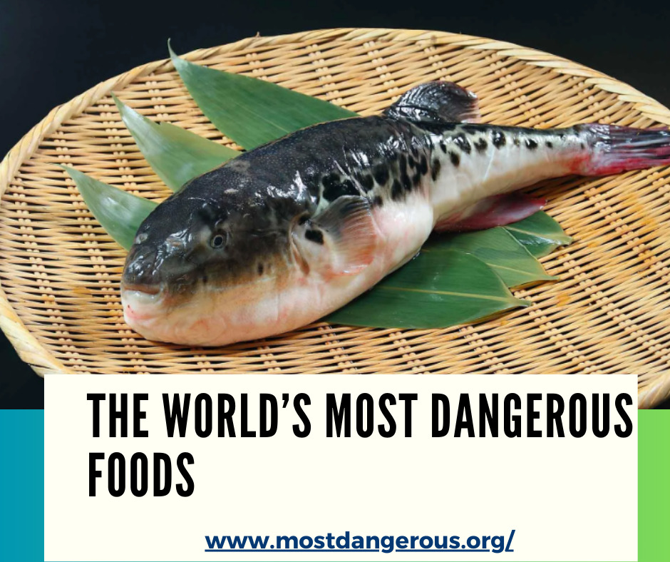 An Infographic Showing The World’s Most Dangerous Foods