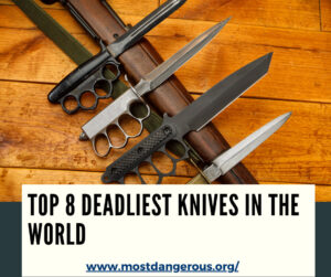 An Infographic Showing Top 8 Deadliest Knives in the World